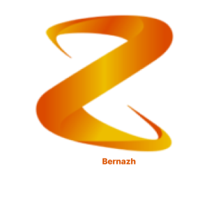 محمد جواد سبزواری مدیر مجموعه برناژ